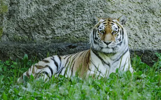 Raj20160721 24441