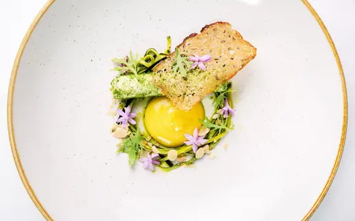 67613068 1262235807291434 86938861149618176 N