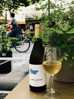 66333703 791270954601003 4086030679081484288 N